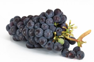 grapes-2032838_960_720