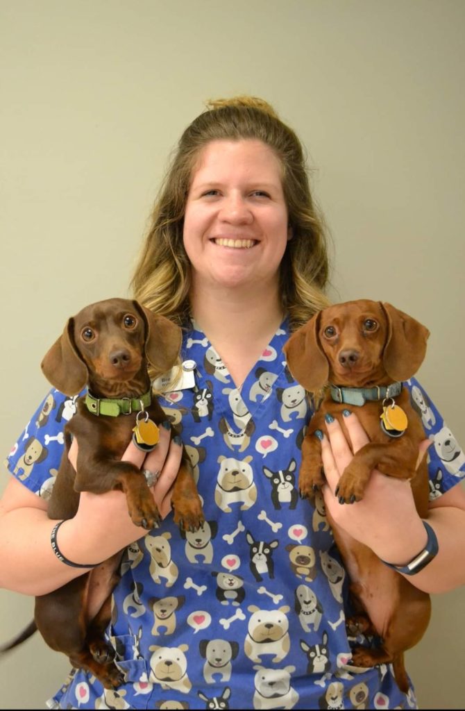 Bre Ison Country Critters Vet Clinic Monrovia, Indiana